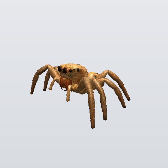 bug, a jumper