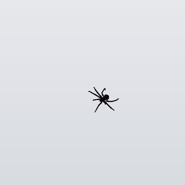 Trapper, a spider