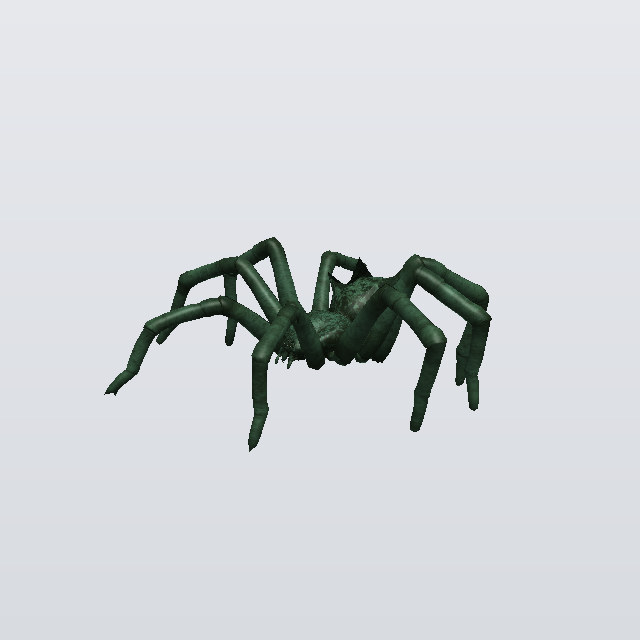 Garden Husk, a spider