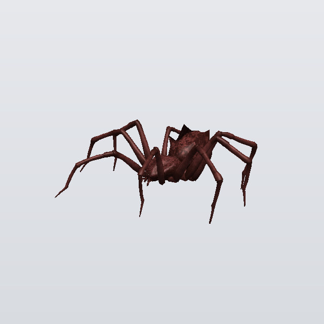 Lantern Whisper, a spider