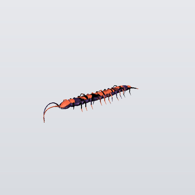 Marble Bruiser, a centipede