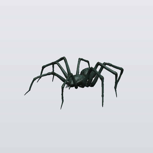 bug, a spider