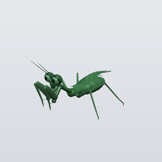 Bug24, a mantis
