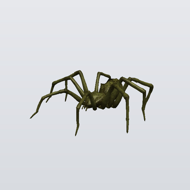 Thunder Snapper, a spider