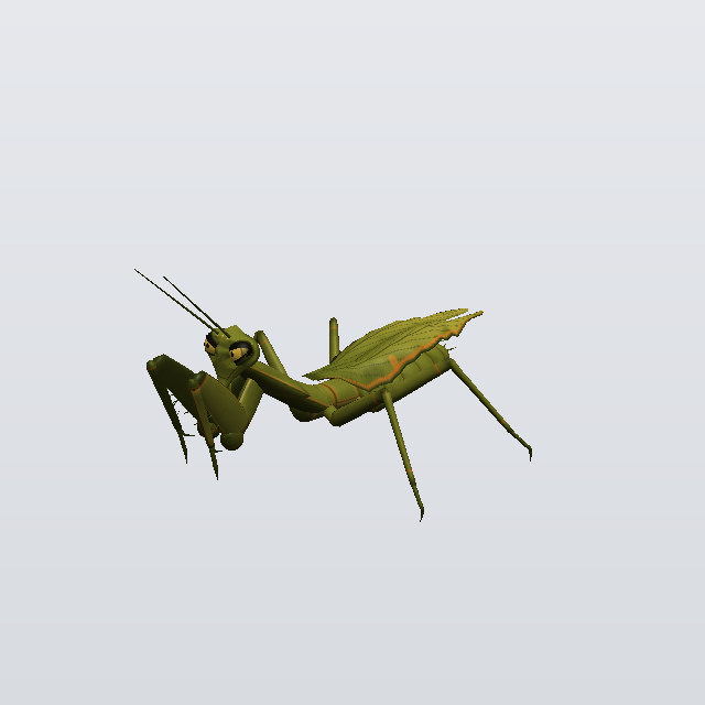 Velvet Scuttle, a mantis