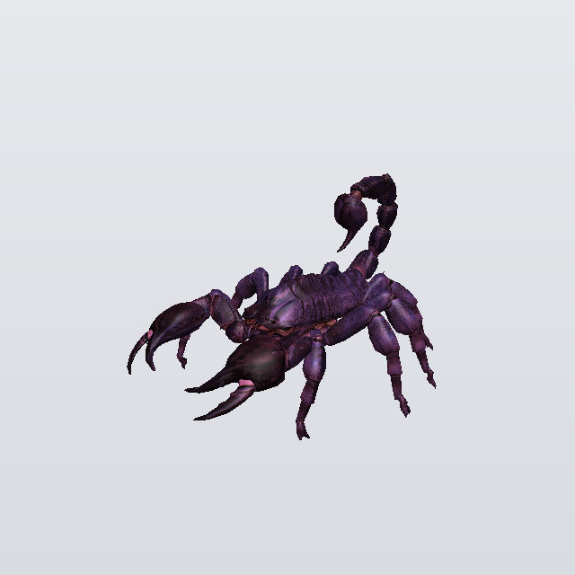 Mustard Shiver, a scorpion