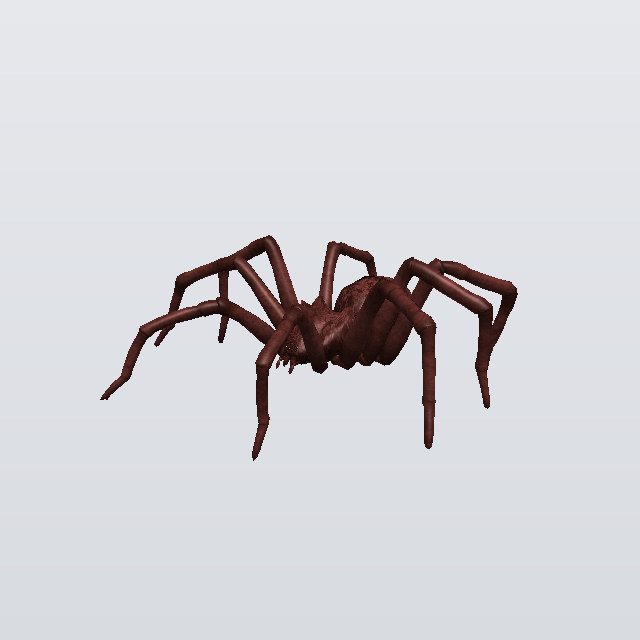 Thistle Biter, a spider