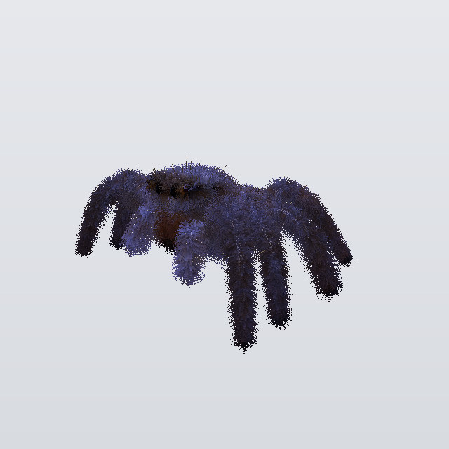 bug, a jumper