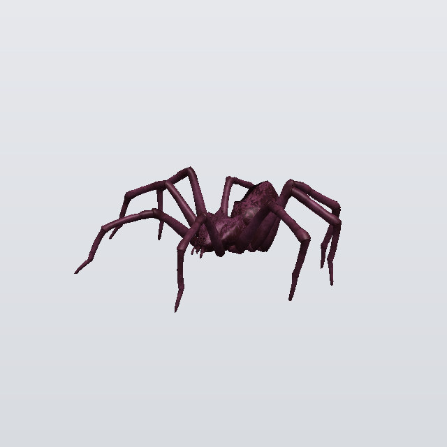 Bitter Weaver, a spider