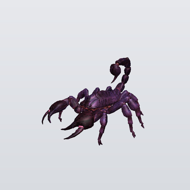 bug, a scorpion