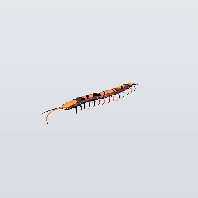 Cheeto, a centipede