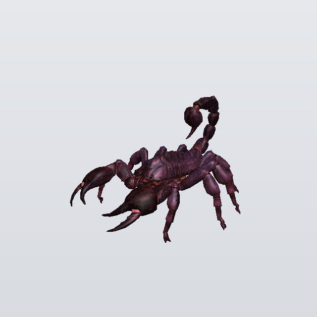 Ochre Brawler, a scorpion