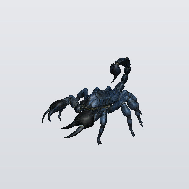 Brindle Creeper, a scorpion