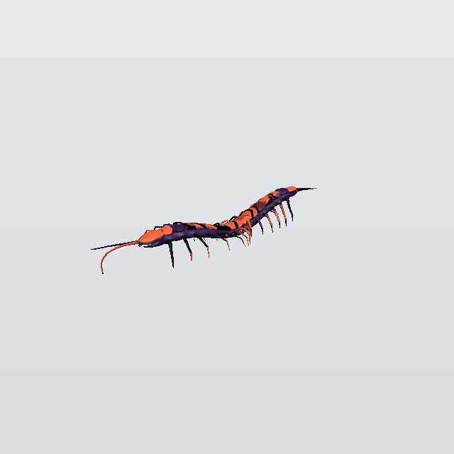 Silent Dagger, a centipede