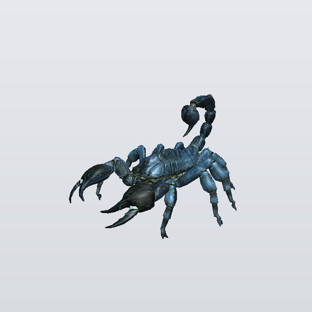 Orchard Saber, a scorpion