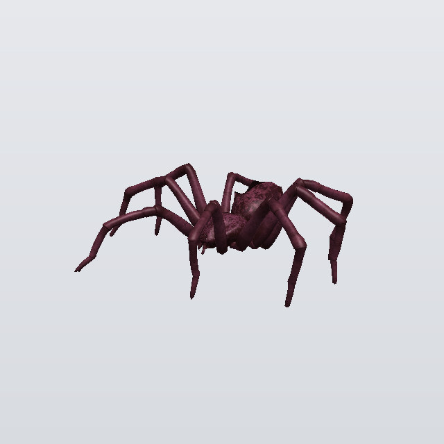 Bitter Twitch, a spider