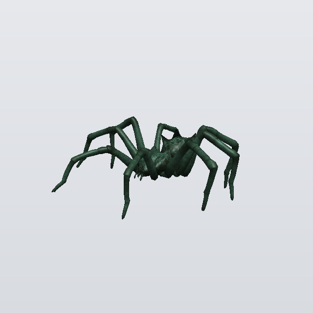 Young Fang, a spider
