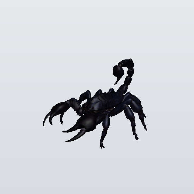 bug, a scorpion