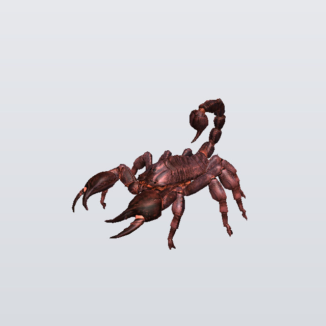 Gubbby, a scorpion
