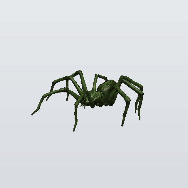 Gravel Grudge, a spider
