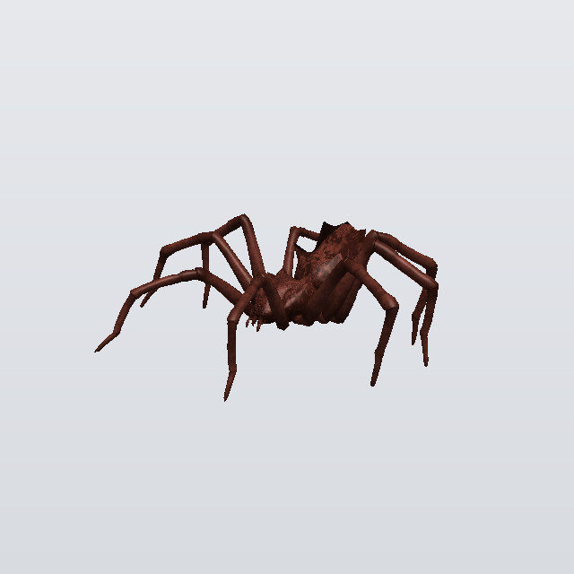 Gentle Silk, a spider