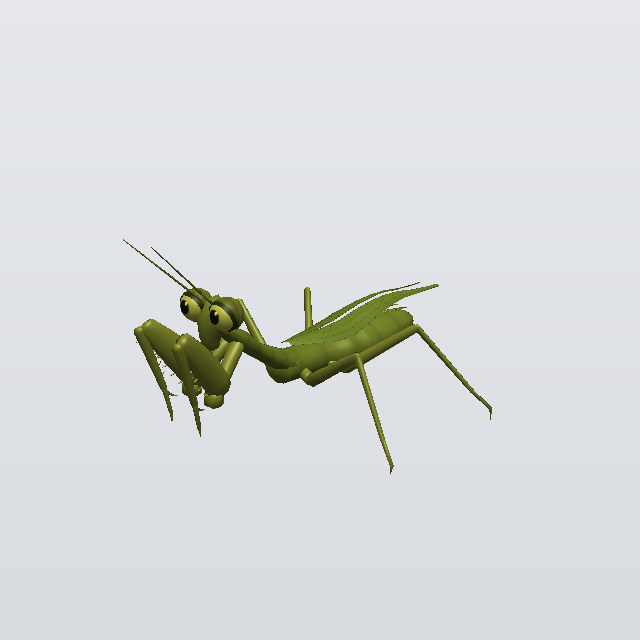 Pepper Whip, a mantis