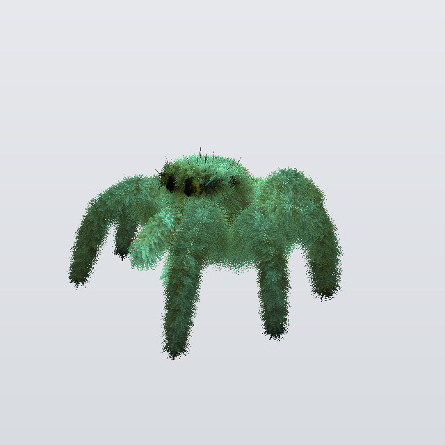 Duchess Thorn, a jumper