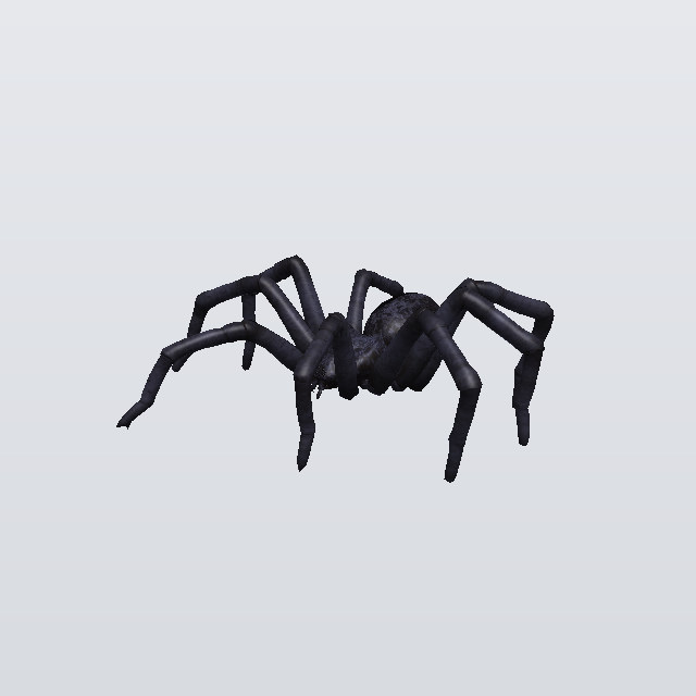 Lord Scamper, a spider