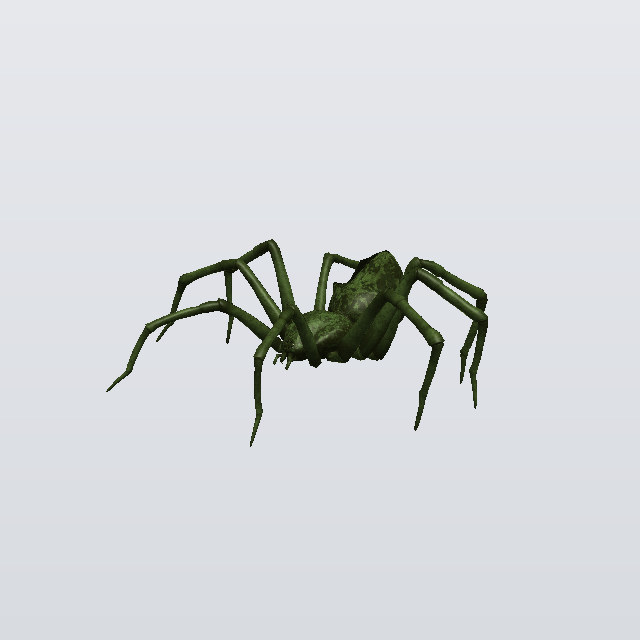 Hollow Terror, a spider