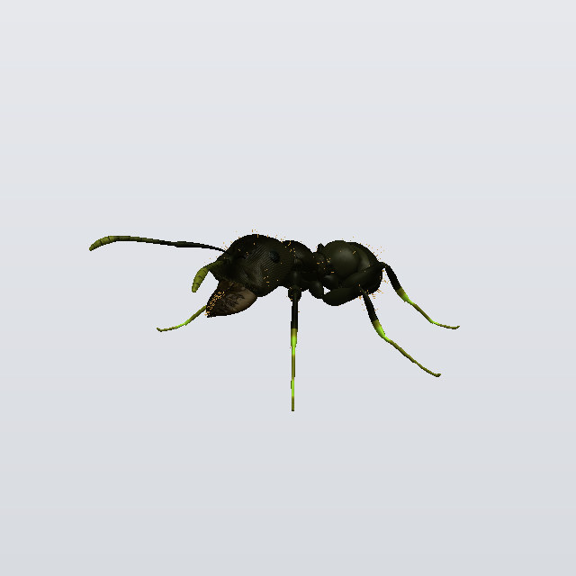 Bramble Ambush, a bulletant
