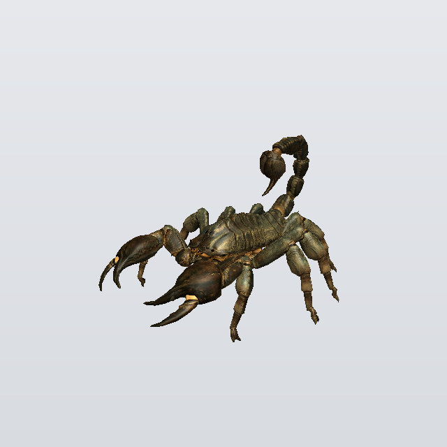 bug, a scorpion