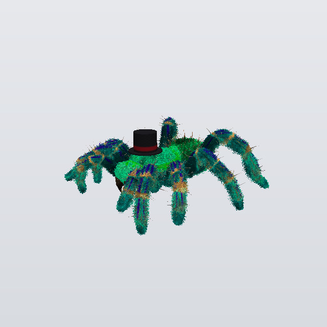 Chah, a tarantula