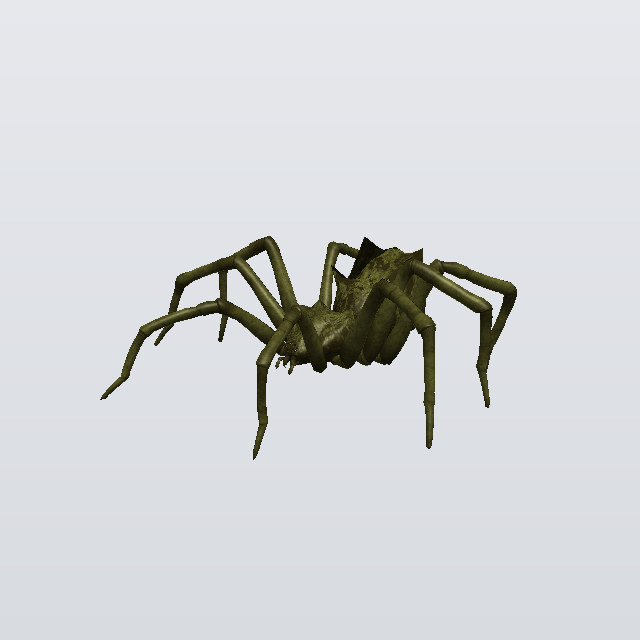 bug, a spider