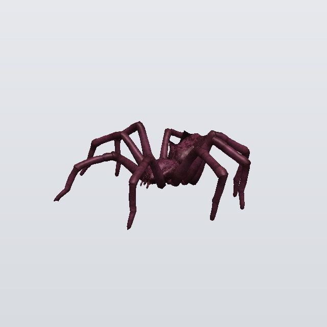 Midnight Vigil, a spider
