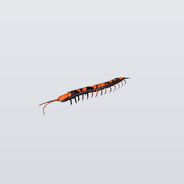 Thunder Grudge, a centipede