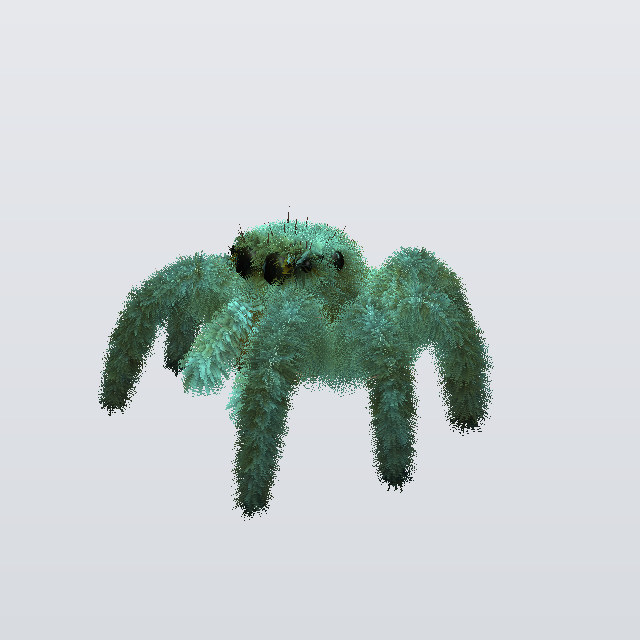 Orchard Lurker, a jumper