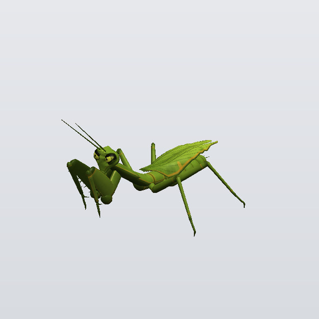 Lord Wrath, a mantis
