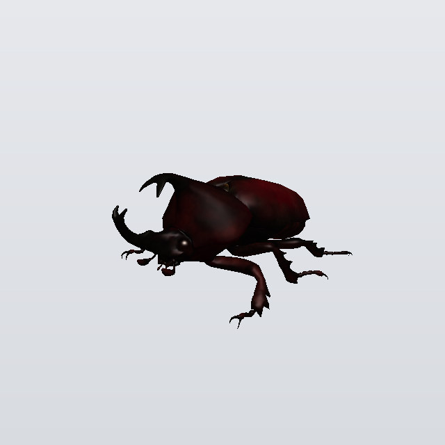Pepper Wrath, a rhino