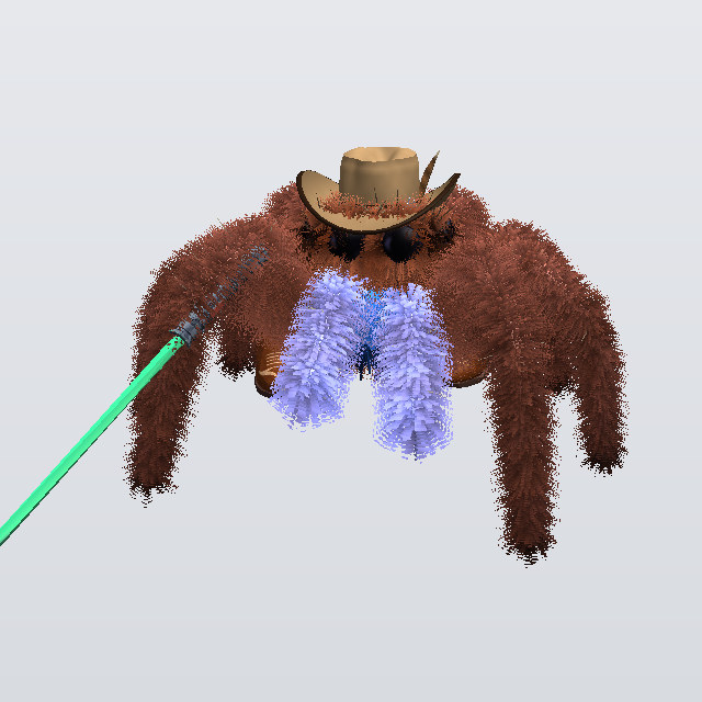 Jif, a jumper