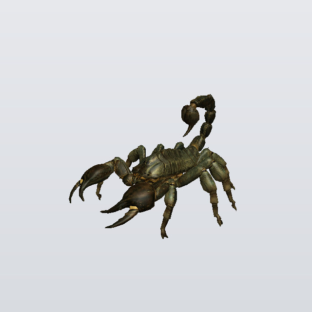 Lurking Skitter, a scorpion