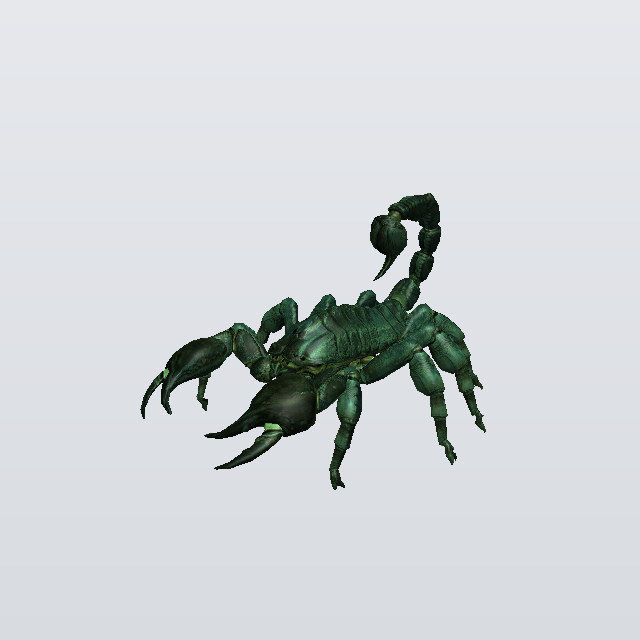 Summer Bruiser, a scorpion