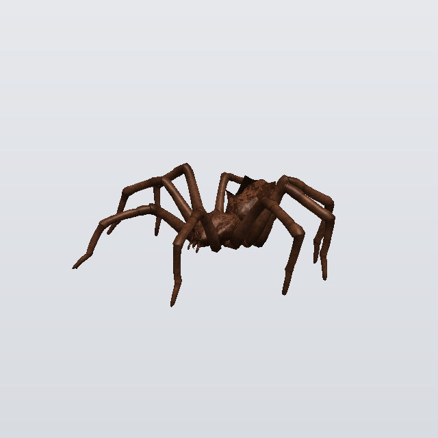 Lantern Marquis, a spider