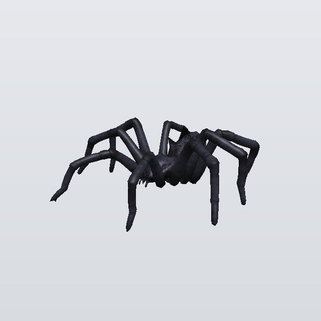 Wicked Bruiser, a spider