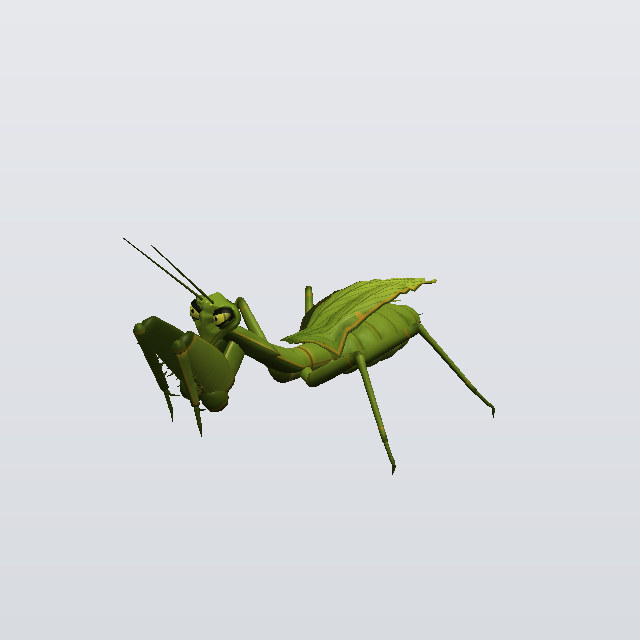 Bitter Whip, a mantis